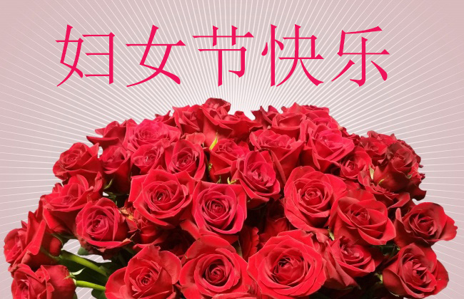 婦女節(jié)快樂|三月暖陽(yáng)不及你-收放卷張力控制系統(tǒng)廠家